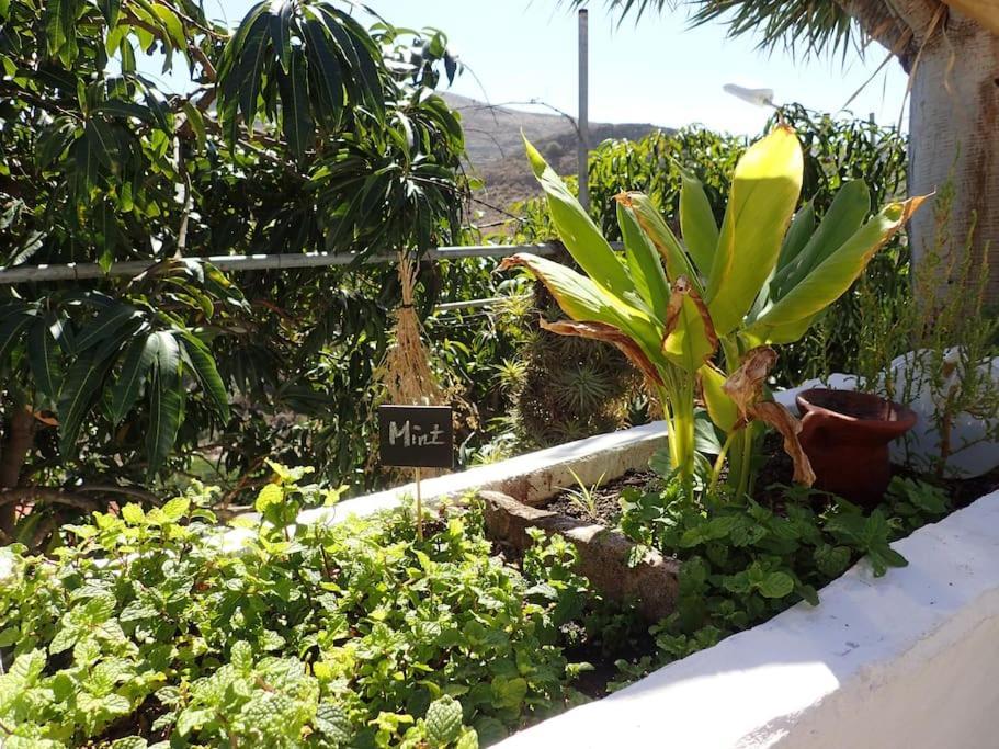 Drago 100, Quiet And Friendly Hébergement de vacances